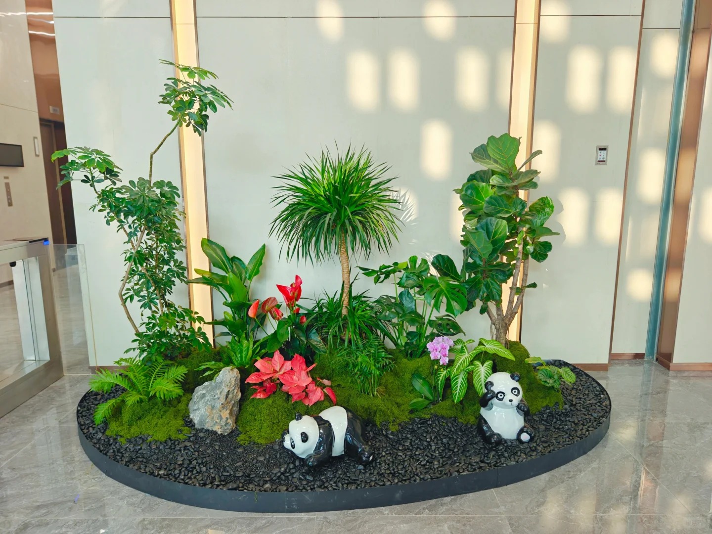 专业奉化绿植租赁,给您的空间增添一抹自然绿